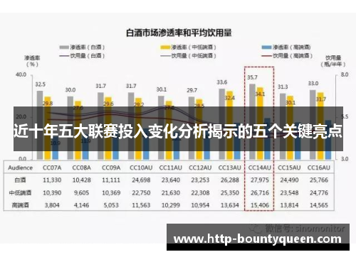 近十年五大联赛投入变化分析揭示的五个关键亮点