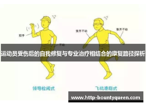 运动员受伤后的自我修复与专业治疗相结合的康复路径探析